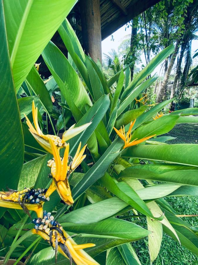 Nature Villa Unawatuna Galketiya Luaran gambar